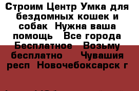 Строим Центр Умка для бездомных кошек и собак! Нужна ваша помощь - Все города Бесплатное » Возьму бесплатно   . Чувашия респ.,Новочебоксарск г.